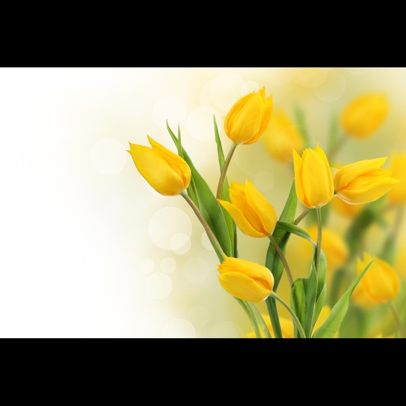 Meet your Posher, Kimberly - Picture 1 of 1